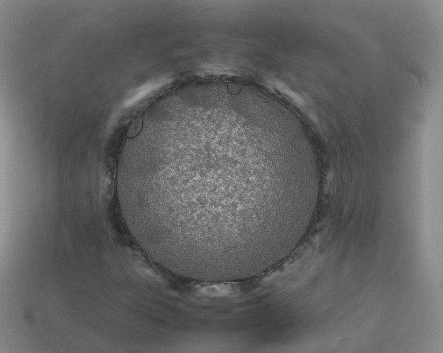 X0000113891303200910081759