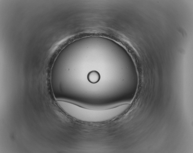 X0000113891304200910081759