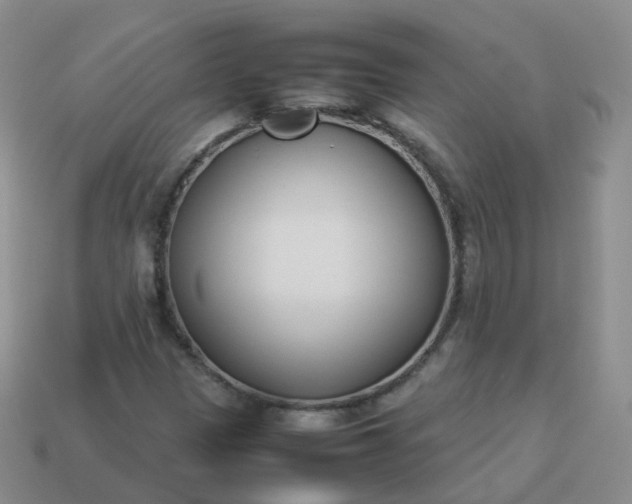 X0000113891305200910081759