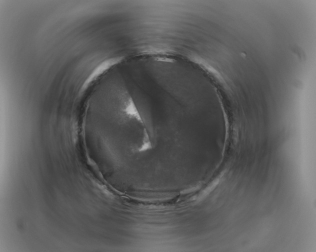 X0000113891306200910081759