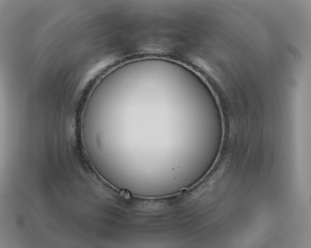 X0000113891307200910081759