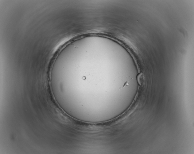 X0000113891308200910081800