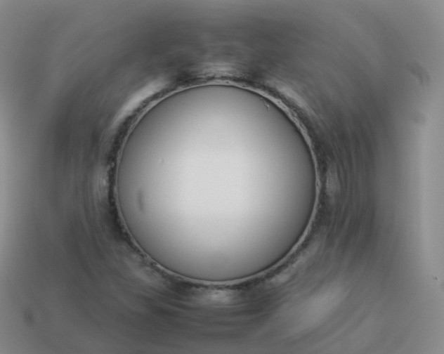 X0000113891309200910081800