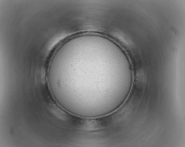 X0000113891310200910081800