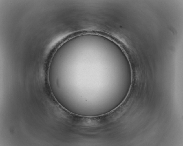 X0000113891311200910081800