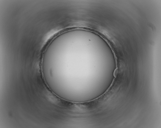 X0000113891312200910081800