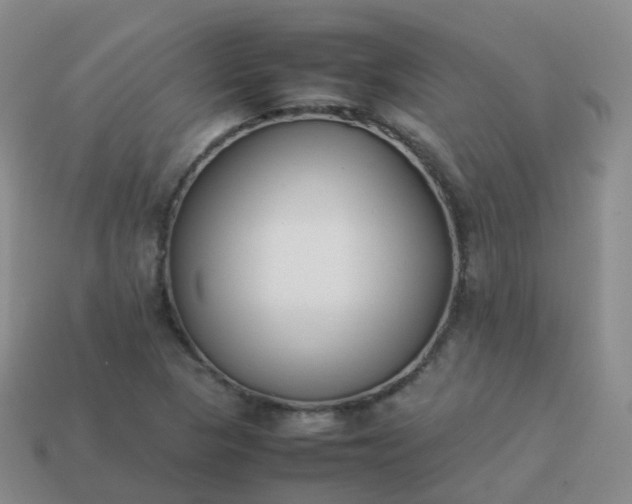 X0000113891313200910081800