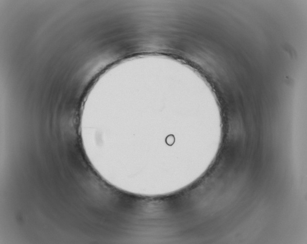 X0000113891314200910081800