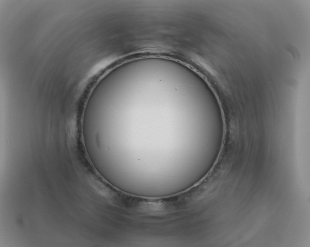 X0000113891315200910081800