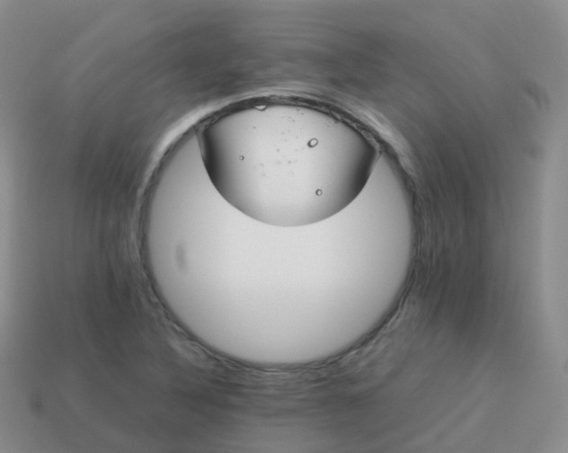 X0000113891316200910081800