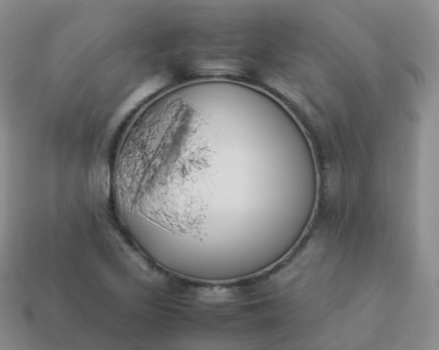 X0000113891317200910081800