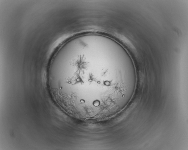 X0000113891318200910081800