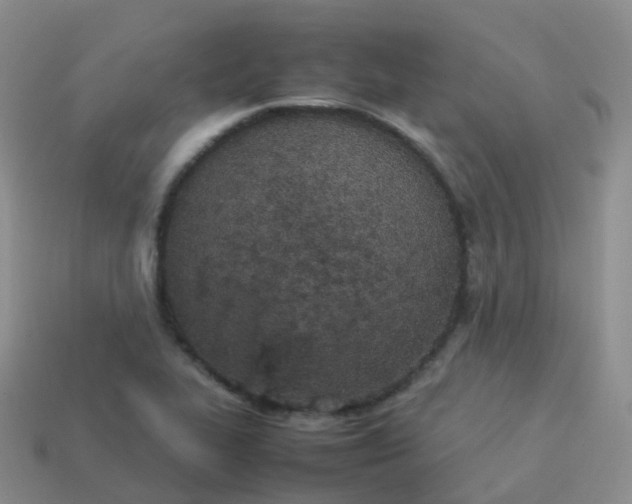 X0000113891319200910081800