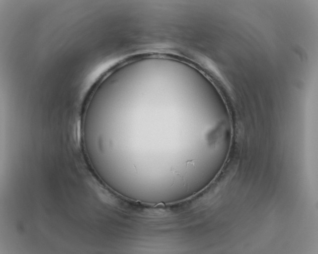 X0000113891320200910081800