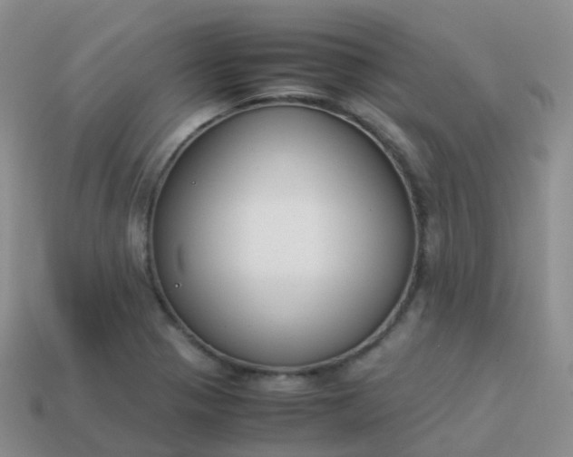 X0000113891321200910081800