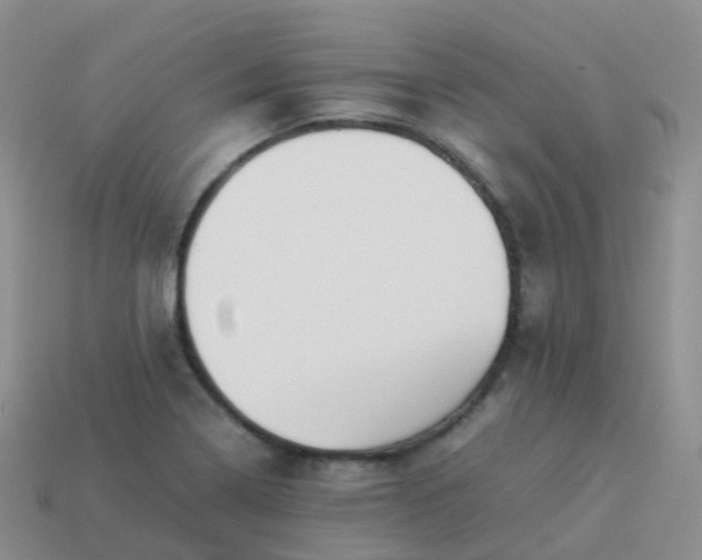 X0000113891322200910081800