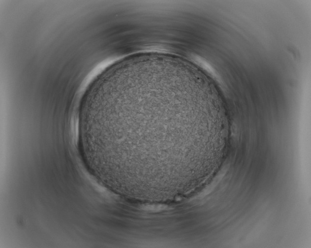 X0000113891323200910081800