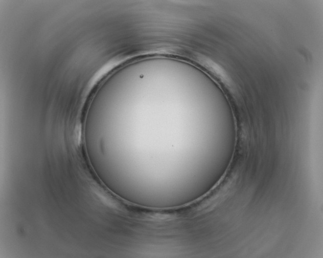 X0000113891324200910081800