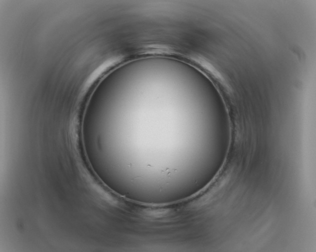 X0000113891325200910081800