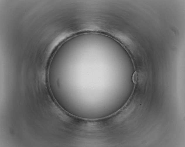 X0000113891326200910081800