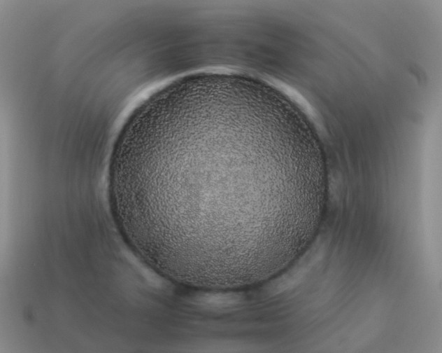 X0000113891327200910081800