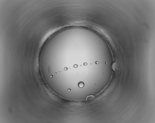 X0000113891328200910081800