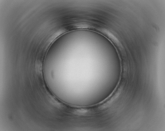 X0000113891329200910081800