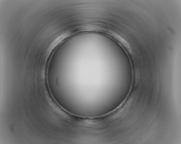 X0000113891330200910081800