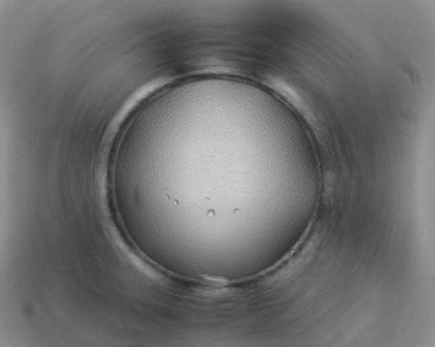 X0000113891331200910081800