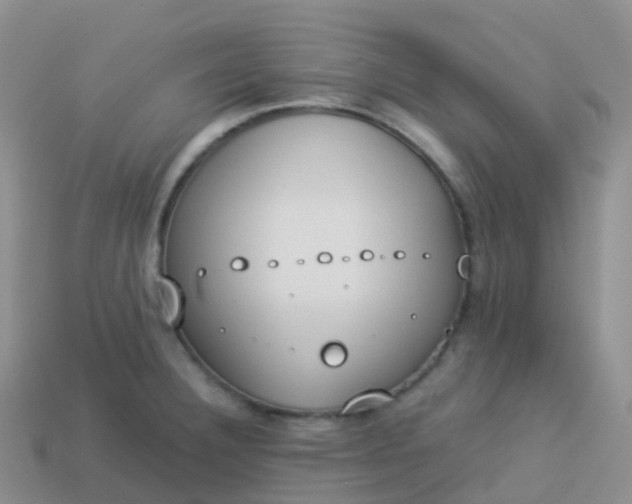 X0000113891332200910081800