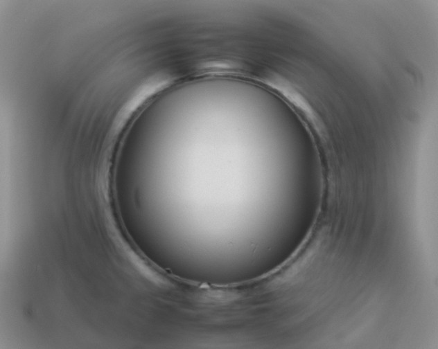 X0000113891333200910081800