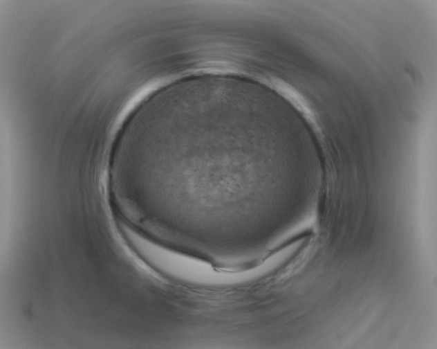 X0000113891334200910081800