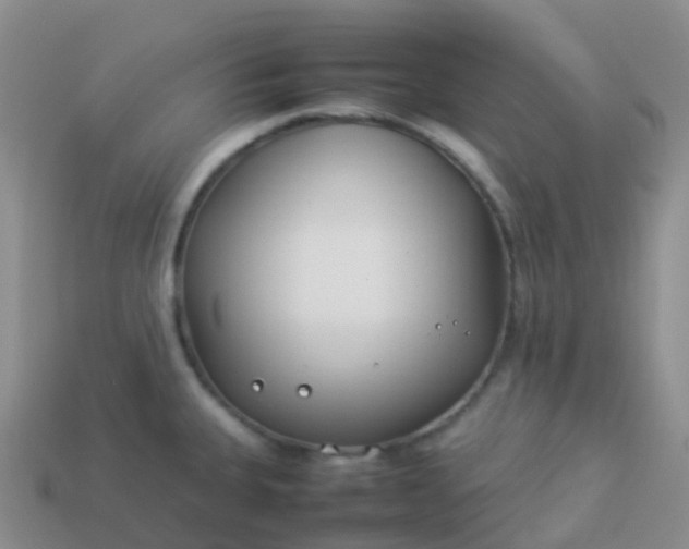 X0000113891335200910081800