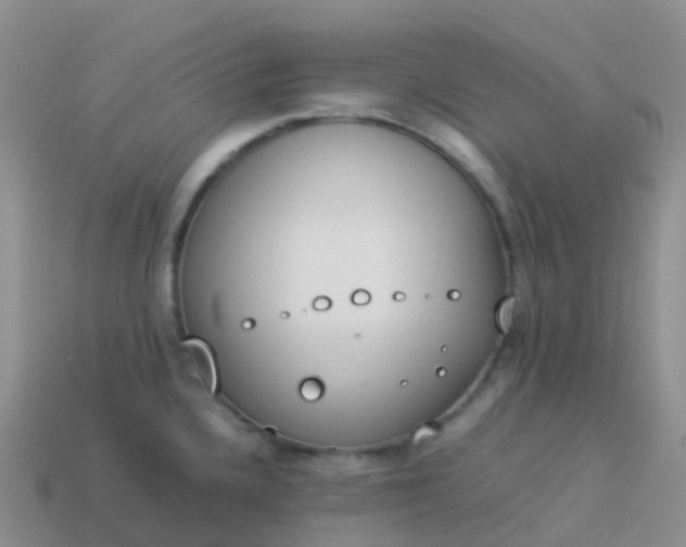 X0000113891336200910081800