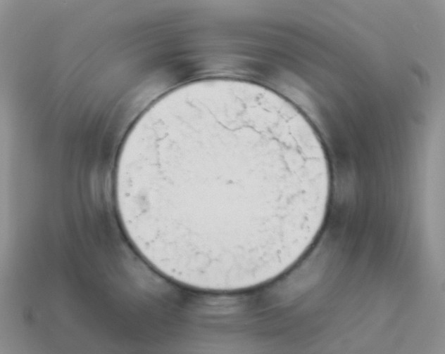 X0000113891338200910081800