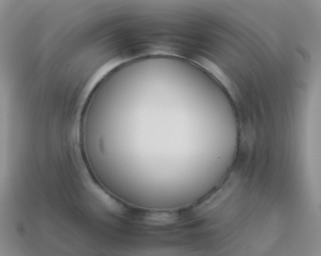 X0000113891339200910081800