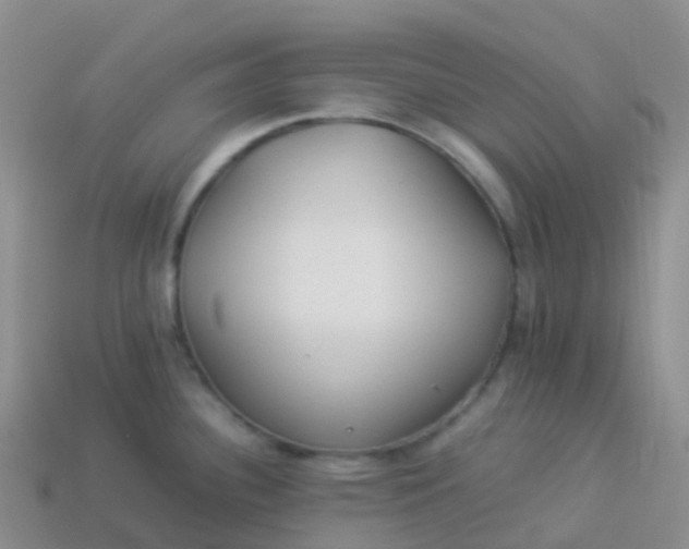 X0000113891340200910081800