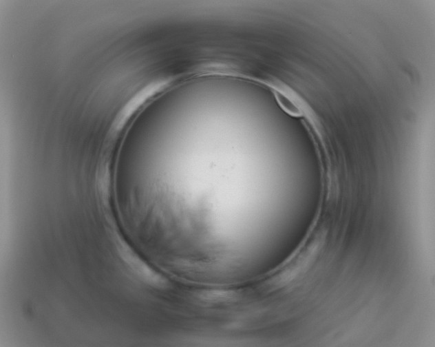 X0000113891341200910081800