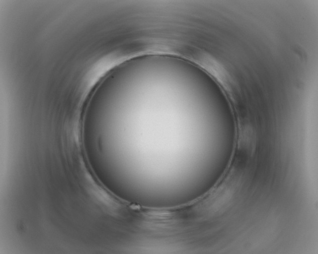 X0000113891342200910081800