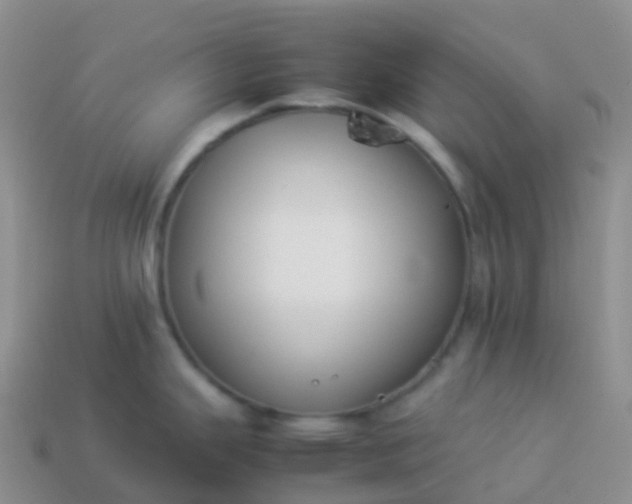 X0000113891343200910081800