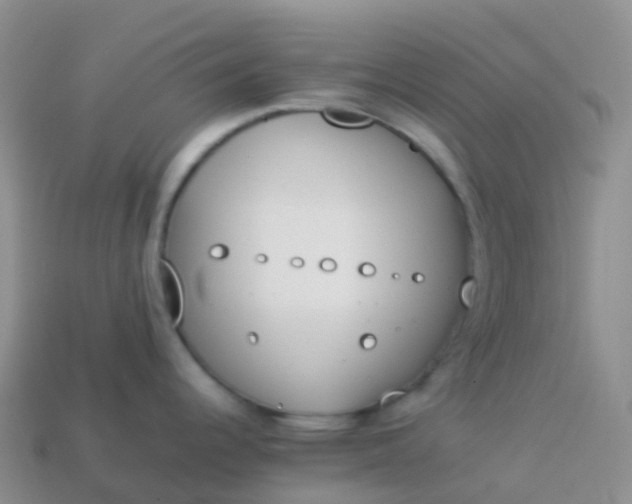 X0000113891344200910081800