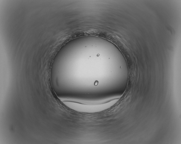 X0000113891345200910081759