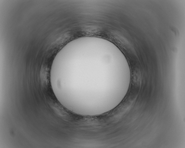 X0000113891346200910081759