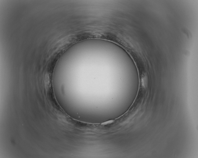 X0000113891347200910081759