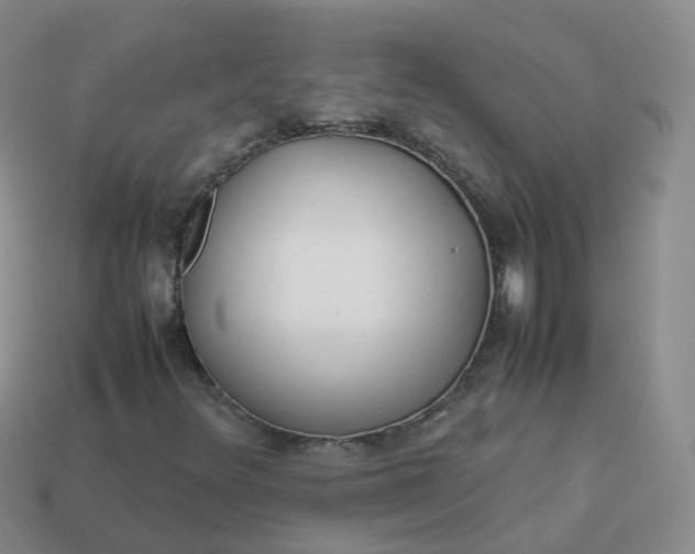 X0000113891348200910081759