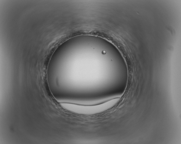 X0000113891349200910081759