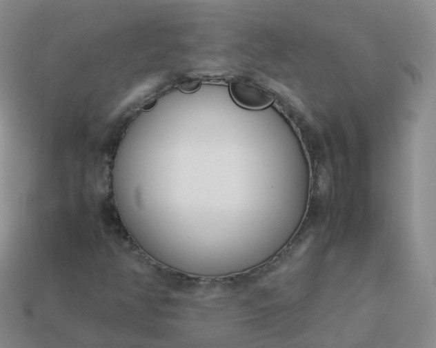 X0000113891350200910081759