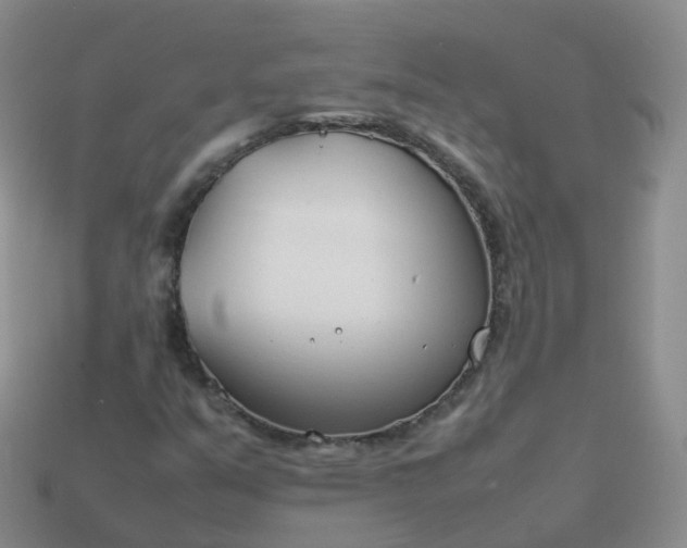 X0000113891351200910081759