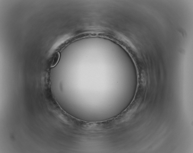 X0000113891352200910081759