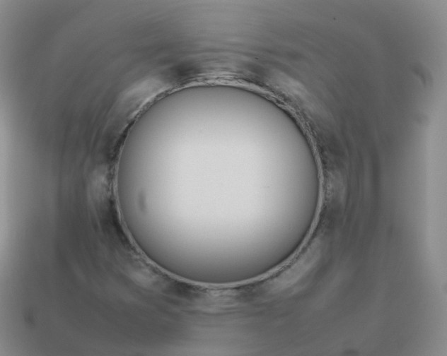 X0000113891353200910081759